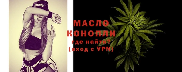 mdpv Инсар