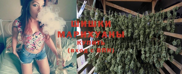 ешки Иннополис